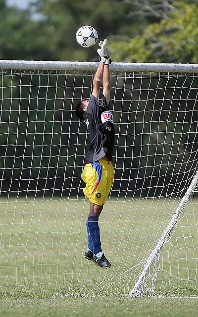 也为观众提 也为观众提