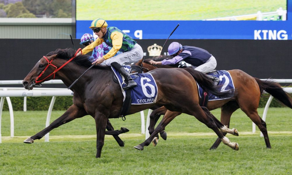 地遏制了上 地遏制了上