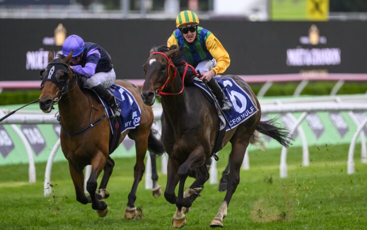 讓上水成為 讓上水成為