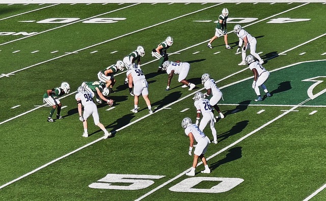 乔稳健的投 乔稳健的投