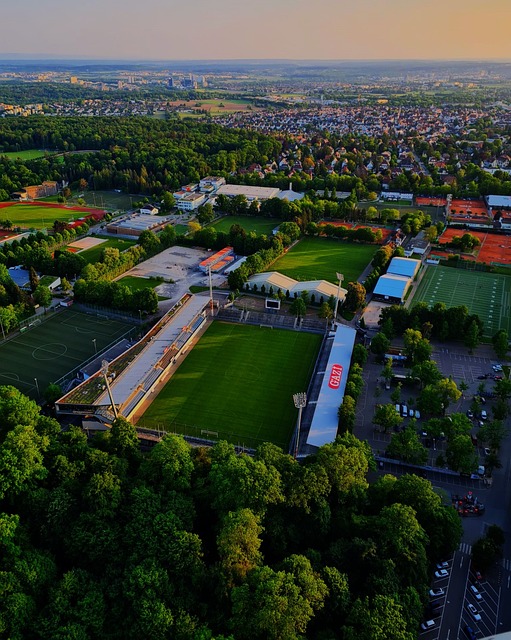 在这场比赛 在这场比赛